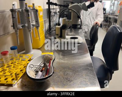 Close up of laboratory microscope on desk Stock Photo