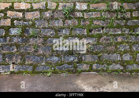Weathered stone wall covered in green moss and small wild plants, revealing rich texture, age and natural decay. Ideal for backgrounds, architecture, Stock Photo