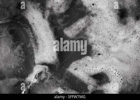 High contrast black and white abstract texture featuring organic foam patterns and liquid bubbles. Natural chaotic formations c Stock Photo