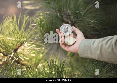 Direction and navigation concept, person holding vintage compass in forest for travel planning, adventure exploration and finding path in nature Stock Photo