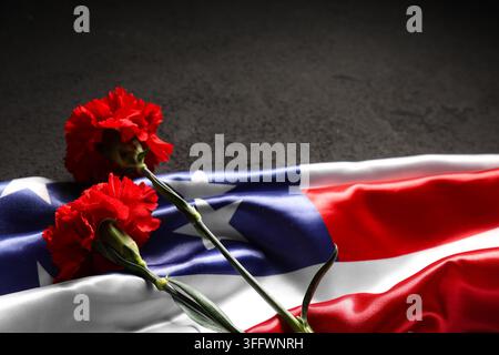 Memorial day remembrance and patriotism, red carnations on American flag for veterans day tribute and national holiday honor on dark textured backgrou Stock Photo