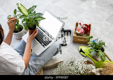 Small business e-commerce and gardening hobby, woman using laptop with blank screen to manage plant shop or online floral store from home studio Stock Photo
