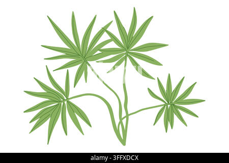 Stylized tropical foliage illustration with long narrow green leaves and branching stems for botanical decor, textile design, stationery, packaging Stock Vector