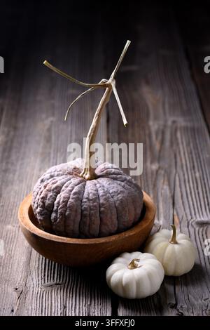 Textured heirloom pumpkin beside white gourds on weathered wooden table. Rustic autumn still life with squash and farmhouse harvest atmosphere Stock Photo