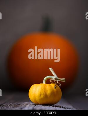 Large and small orange pumpkins on an old rusty wooden table close up. Thanksgiving or Halloween concept. Autumn, fall and pumpkin Stock Photo