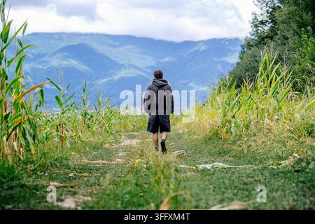 Rear view of man walking along path between cornfields towards mountain landscape Stock Photo