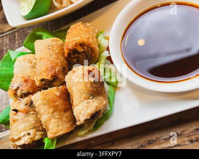 Close-up of crispy fried spring rolls on lettuce, served with a dark soy dipping sauce, England, UK Stock Photo