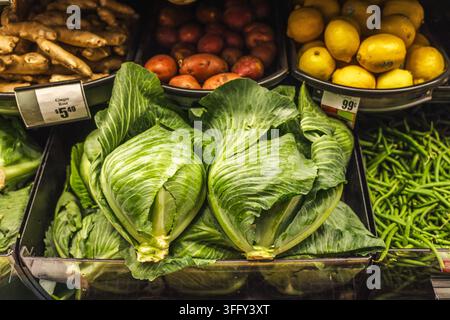 Fresh Cabbages and Assorted Produce in Grocery Store Display Stock Photo