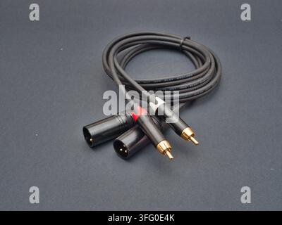 Professional Audio Cable with Connectors - High-quality black audio cable featuring gold-plated RCA plugs and XLR connectors, neatly coiled on a dark Stock Photo