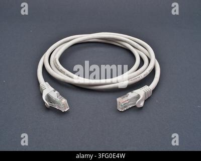Ethernet Cable on Dark Gray Background - A white Ethernet network patch cable with two RJ45 connectors is coiled and laid out on a dark gray surface, Stock Photo