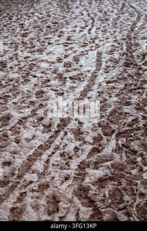 WET MUD TEXTURE WITH FOOTPRINTS, REPORTAGE, GREEN MAN FESTIVAL 2015, BRECON, WALES, UK, 2015: A close-up view shows the thick, wet, brown mud of a field, heavily textured with footprints and the tracks of a narrow tire. Photo: Rob Watkins. INFO: The Green Man Festival is held annually in the Brecon Beacons in August. It celebrates alternative music, arts, literature, science and family-friendly culture in a beautiful mountain setting. The 2015 event started sunny but turned muddy with overnight rain on the final two days. Stock Photo