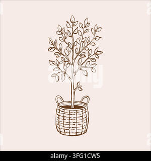Vector outline illustration of a houseplant in a woven basket. Potted indoor plant. Home and office decor.  Stock Vector