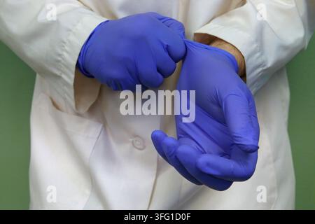 A physician or scientist puts on a pair of blue nitrile rubber gloves, shown up close, while wearing a white lab coat. Stock Photo