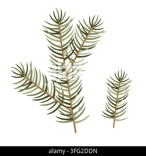 Hand-drawn pine tree branch botanical isolated illustration for seasonal winter or Christmas decor or packaging Stock Vector
