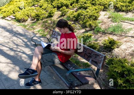 A person sits on a bench in a park reading a book under the sunlight. Green plants surround the area. Stock Photo