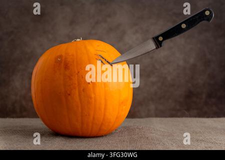Close-up studio shot of paring knife blade inserted into side of uncarved Halloween pumpkin, with small cut marks visible on skin, against textured br Stock Photo