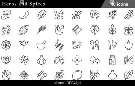 Herbs and spices line icon set featuring 40 outline symbols including seasoning, vanilla pod, cinnamon stick, garlic bulb, and cooking herbs icons. Stock Vector