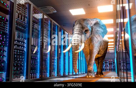 3d elephant in the room walking between server racks Stock Photo