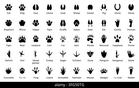 Animal paw prints silhouette set. Wildlife footprints icons collection Stock Vector