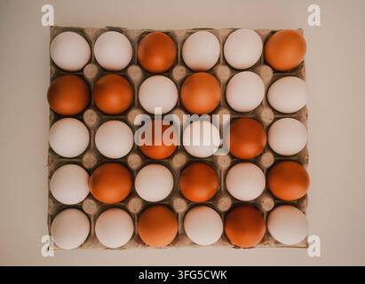 Top view of open cardboard egg carton with alternating brown and white chicken eggs in neat rows on beige background stilllife set Stock Photo