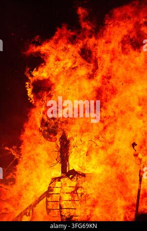 CLOSE-UP OF BURNING WICKER MAN, BURNING THE WICKER MAN EFFIGY, GREEN MAN FESTIVAL, BRECON, WALES, UK, 2017: A close-up shot captures the wooden frame and tree-like details of a large effigy as it is consumed by intense orange flames. Photo: Rob Watkins. INFO: The Green Man Festival is held annually in the Brecon Beacons in August. It celebrates music, arts, literature, science and family-friendly culture in a beautiful mountain setting. Each year the festival ends with the ritual burning of the wicker man Green Man effigy. Stock Photo