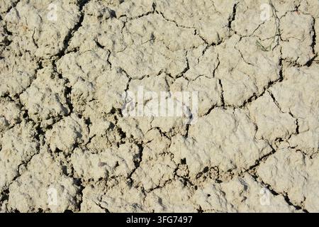 Cracked Dry Earth Surface background, high angle view Stock Photo