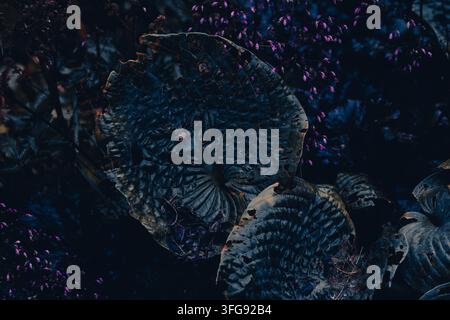 Dark botanical composition featuring richly textured leaves, deep blue and green tones, and subtle purple flowers. Moody foliage background with drama Stock Photo