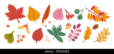 Abstract modern autumn leaves and seeds vector set. Hand drawn illustration in trendy style. Oak, rowan, maple and other leaves collection. Stock Vector
