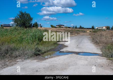 A rough dirt road dotted with large water puddles leads past dense green reeds and dry fields toward distant rural houses under a bright blue, cloudy Stock Photo