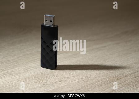 Single black USB flash drive standing upright casting a clean geometric shadow on a light wooden surface. Stock Photo