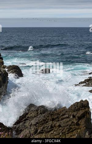 Powerful Pacific Ocean waves crashing against rugged coastal rocks, with white surf and sea spray along a dramatic rocky shoreline. Stock Photo