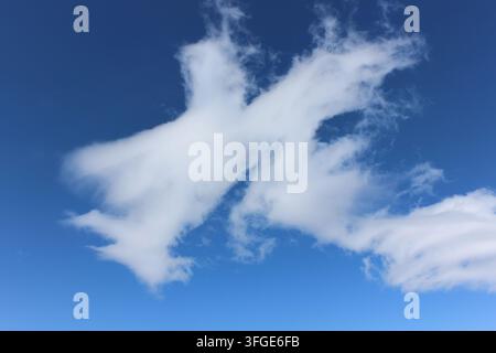 Dragon shaped cloud formation floating in the blue sky over the Vilyuchinsky volcanic region. Natural pareidolia concept Stock Photo