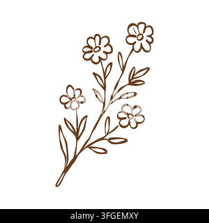 Chamomile. Botanic herbs, wild flowers in vintage outline style. Line sketch art. Vector illustration in brown Stock Vector