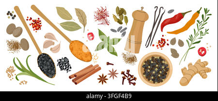 Indian spice. Vanilla cinnamon, anice and cardamom as food clove, simple flavor of masala or canella, aromatic leaves. Bakery market, cooking recipe ingredients. Vector cartoon flat style isolated set Stock Vector