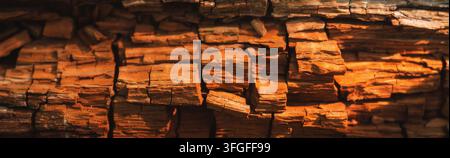 Dry cracked rotten oak wood stump texture background close up Stock Photo