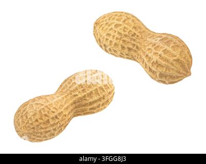 Whole peanuts in shells isolated on white background, full depth of field Stock Photo