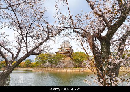 View of Hiroshima Castle with the cherry blossoms blooming in the early spring in Hiroshima, Japan. Stock Photo