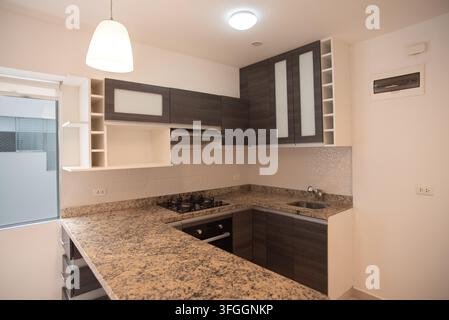 Modern Kitchen Interior: A contemporary u-shaped kitchen features granite countertops, dark wood cabinets, and stainless steel appliances Stock Photo