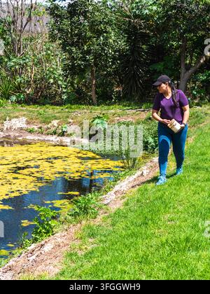 Vector Fish Pond Woman feeding tilapia fish beside a pond surrounded by lush vegetation ...