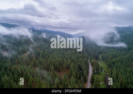 Forest road disappears into misty mountains Stock Photo