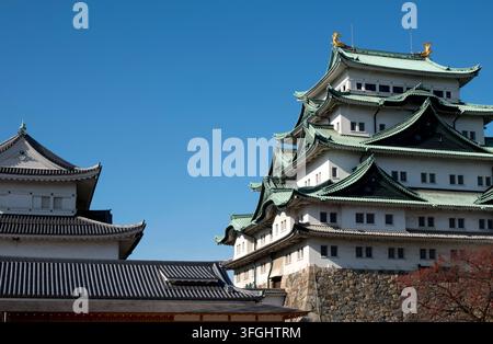Shachihoko hi-res stock photography and images - Alamy
