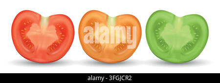 Tomato Slice Vector Illustration. 3d Tomato Slice Set. Red Orange and Green Tomato Slices for Food, Salad, Cooking, Ingredient, Kitchen, Recipe Stock Vector