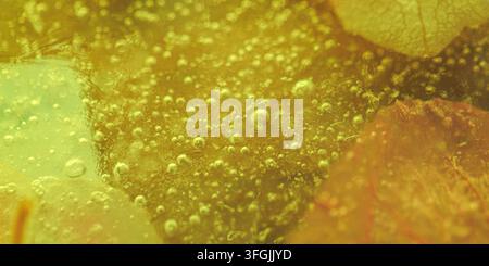 Golden Ice Abstract Texture with Hydrangea Petals and Sparkling Bubbles Stock Photo