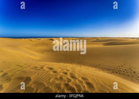 Endless golden sand dunes of Maspalomas stretching to the Atlantic Ocean under a clear deep blue sky in Gran Canaria, Canary Islands. Stock Photo