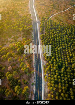 Aerial drone view of an empty asphalt road running through Mediterranean woodland and dry natural landscape Stock Photo