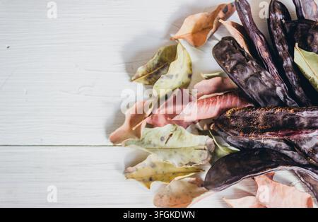 Flat lay arrangement of dark carob pods and dried autumn leaves on a white painted wooden background with natural lighting and shadows. Stock Photo