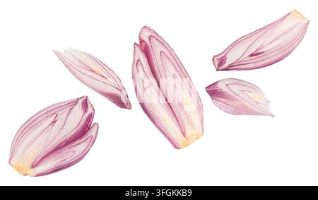Shallot slices isolated on white background Stock Photo