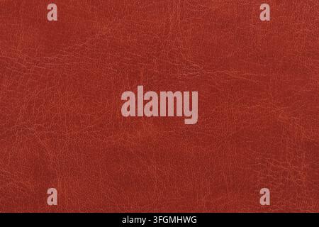 Seamless macro texture background luxury reddish brown genuine leather with fine realistic grain Stock Photo