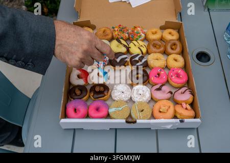 A Man's Hand Reaching for an Assortment of Donuts with Different Toppings and Colors Stock Photo