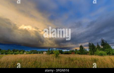 Dramatic storm clouds sweep across golden wheat field. Trees line horizon under moody sky. Scene evokes nature's power and quiet beauty. Great for wea Stock Photo